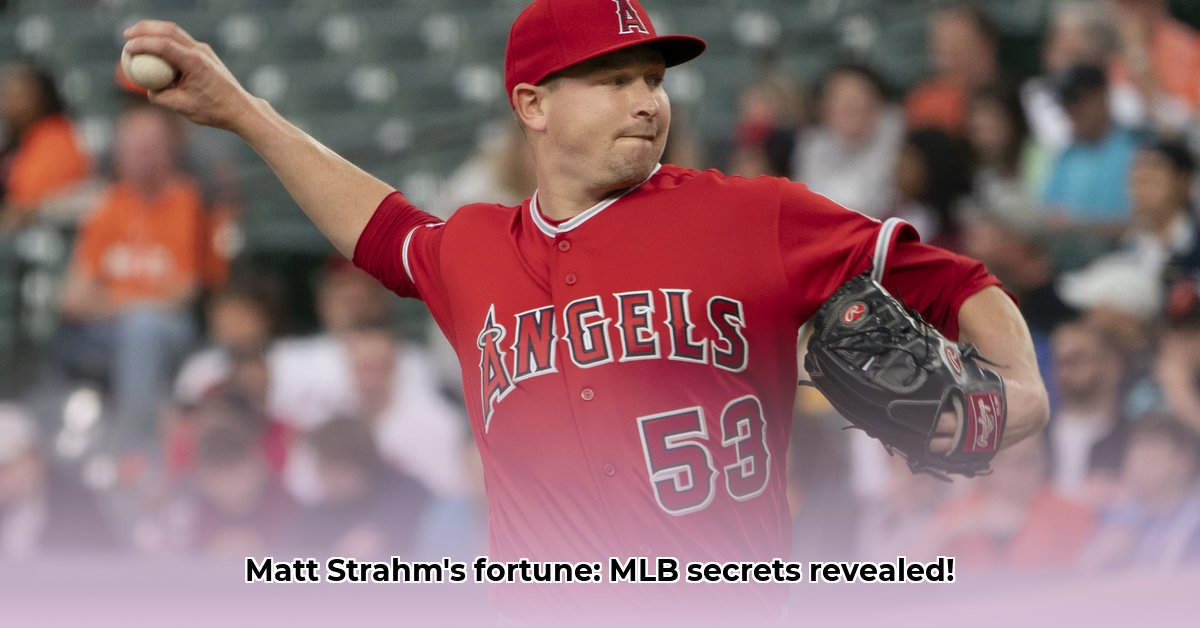 matt-strahm-net-worth